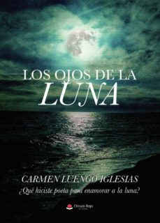 -carmen luengo iglesias-9788413176994