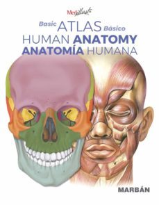 basic atlas human anatomy (español-ingles)-9788418068294