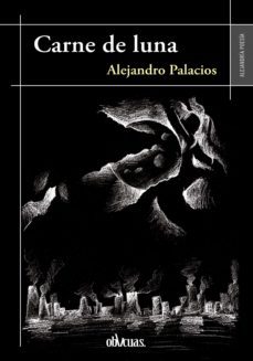 carne de luna (ebook)-alejandro palacios-9788418397394