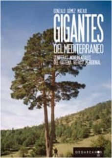 gigantes del mediterraneo.coniferas monumentales del sistema iberico meridional-9788461590094