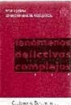 fenomenos delictivos complejos-9788489324794