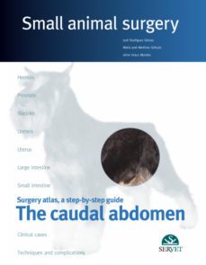 the caudal abdomen. small animal surgery-9788492569694