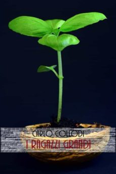 i ragazzi grandi (ebook)-9788827563694