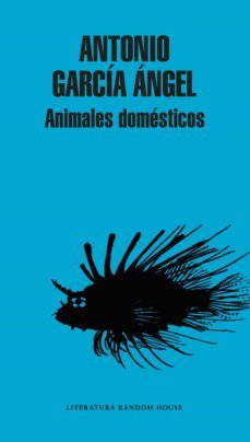 animales domésticos (ebook)-antonio garcia angel-9789588979694