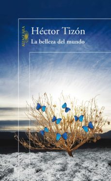 la belleza del mundo (ebook)-hector tizon-9789870420194