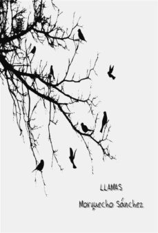 llamas (ebook)-morquecho sanchez-9791221393194