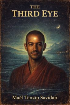 the third eye (ebook)-mael tenzin savidan-9798233973994