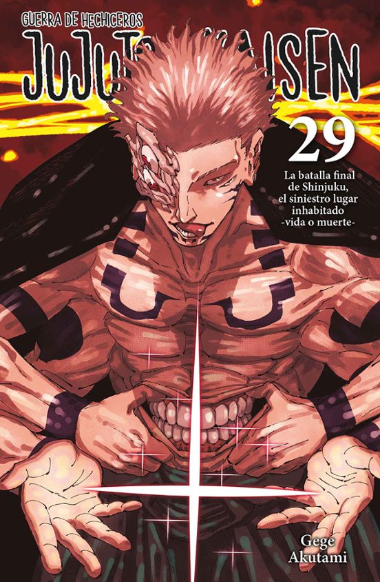 JUJUTSU KAISEN NORMA #29