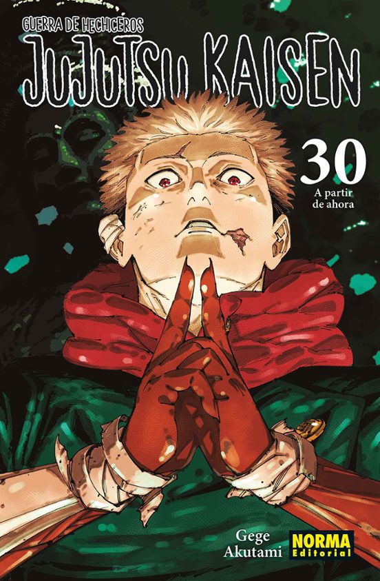 JUJUTSU KAISEN NORMA #30
