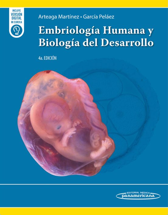 Portada de Embriología Humana Y Biología Del Desarrollo 4 edición