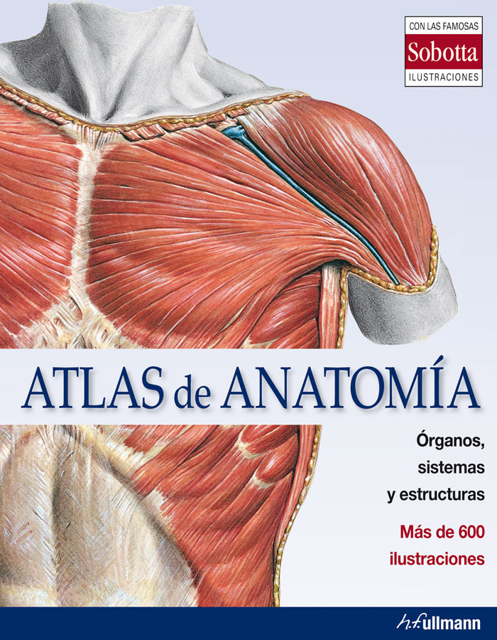 Atlas De Anatomia Ed2013 E Sobotta Comprar Libro 9783848005604