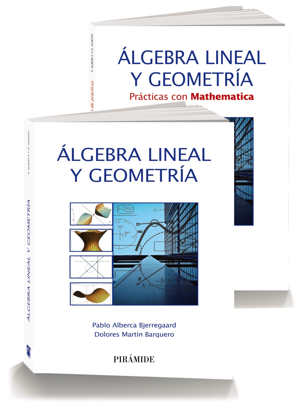 Pack-álgebra Lineal Y Geometría por Pablo Alberca Bjerregaard