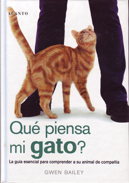 Que Piensa Mi Gato?: La Guia Esencial Para Comprender A Su Animal De Compañia por Gwen Bailey
