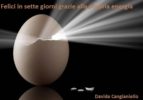 felici in sette giorni grazie alla propria energia (ebook)-9788892671164 felici in sette giorni grazie alla propria energia (ebook)-9788892671164