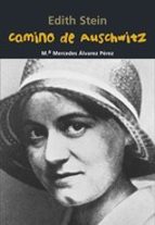 camino a auschwitz-mª mercedes alvarez perez-9788421848074 camino a auschwitz-mª mercedes alvarez perez-9788421848074