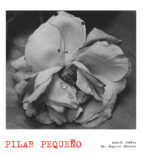 PILAR PEQUEÑO
