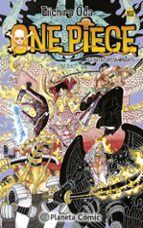 One Piece nº 102 | Eiichiro Oda | Casa del Libro