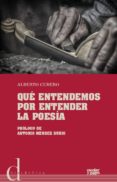 que entendemos por entender la poesia-cubero melllado alberto-9788416020904 que entendemos por entender la poesia-cubero melllado alberto-9788416020904