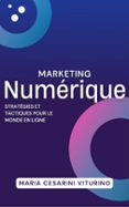 MARKETING NUMÉRIQUE: STRATÉGIES ET TACTIQUES POUR LE MONDE EN LIGNE  (edición en francés)