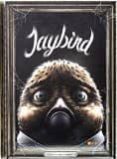 jaybird-lauri ahone-jaakko ahone-9788416475414 jaybird-lauri ahone-jaakko ahone-9788416475414