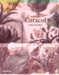 Caracol-10015075-otro-formato