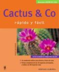 cactus & co: jardin en casa-franz becherer-9788425514814 cactus & co: jardin en casa-franz becherer-9788425514814