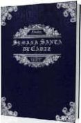 semana santa de cadiz-miguel angel castellano pavon-9788493701314 semana santa de cadiz-miguel angel castellano pavon-9788493701314