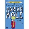 the secret diary of adrian mole aged 13 ¾-sue townsend-9780241331224 the secret diary of adrian mole aged 13 ¾-sue townsend-9780241331224