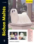 bichon maltes. serie excellence-juliette cunliffe-9788425514524 bichon maltes. serie excellence-juliette cunliffe-9788425514524