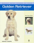 golden retriever-nona kilgore bauer-9788425516924 golden retriever-nona kilgore bauer-9788425516924