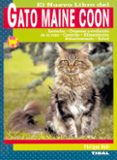 el nuevo libro del gato maine coon-philippe noel-9788430549924 el nuevo libro del gato maine coon-philippe noel-9788430549924