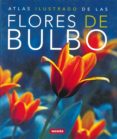 flores de bulbo-9788430570324 flores de bulbo-9788430570324