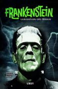 Frankenstein-17775665-otro-formato