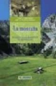la montaña: ecoguia para descubrir la naturaleza-9788489840324 la montaña: ecoguia para descubrir la naturaleza-9788489840324