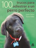 100 trucos para adiestrar a un perro perfecto-sarah fisher-9788499100524 100 trucos para adiestrar a un perro perfecto-sarah fisher-9788499100524