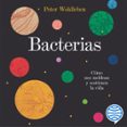 Bacterias-18795247-otro-formato
