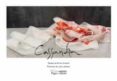 Cassandra-12808568-otro-formato