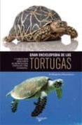 gran enciclopedia de las tortugas-m. millefanti-m. avanzi-9788431541934 gran enciclopedia de las tortugas-m. millefanti-m. avanzi-9788431541934