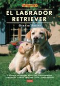 el labrador retriever-gerard sasias-9788495873934 el labrador retriever-gerard sasias-9788495873934