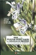 guia de las plantas medicinales de castilla-la mancha: y otros re cursos medicinales de uso tradicional)-diego rivera-9788496465534 guia de las plantas medicinales de castilla-la mancha: y otros re cursos medicinales de uso tradicional)-diego rivera-9788496465534