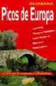 picos de europa (guiarama)-ramon martin martin-9788497764834 picos de europa (guiarama)-ramon martin martin-9788497764834