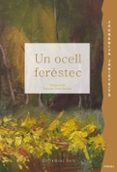 Un ocell feréstec-18041483-otro-formato