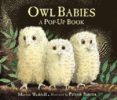 owl babies-martin waddell-9781406352344 owl babies-martin waddell-9781406352344