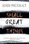 small great things-jodi picoult-9781444788044 small great things-jodi picoult-9781444788044
