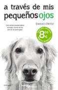 A través de mis pequeños ojos-13077022-otro-formato