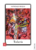 TODAVIA: OBRA EN PROSA-2798308-otro-formato