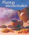 plantas medicinales-laura mantovani-9788430556854 plantas medicinales-laura mantovani-9788430556854