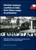 derechos humanos y justicia en chile-manuel ahumanda lillo-9788437091754 derechos humanos y justicia en chile-manuel ahumanda lillo-9788437091754