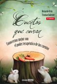 cuentos que curan: conocernos mejor con el poder terapeutico de l os cuentos (5ª ed.)-bernardo ortin-trinidad ballester-9788475562254 cuentos que curan: conocernos mejor con el poder terapeutico de l os cuentos (5ª ed.)-bernardo ortin-trinidad ballester-9788475562254
