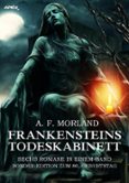 Libro para descargar gratis móvil FRANKENSTEINS TODESKABINETT - SECHS ROMANE IN EINEM BAND (Literatura española) de  9783748723264 RTF FB2